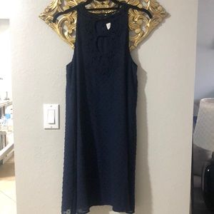 Navy Dress with Polka Dots and Lace